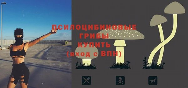 a pvp Абинск