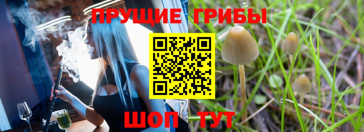 Галлюциногенные грибы Psilocybe  Вход с VPN  Тавда  Псилоцибиновые грибы ЛСД 
